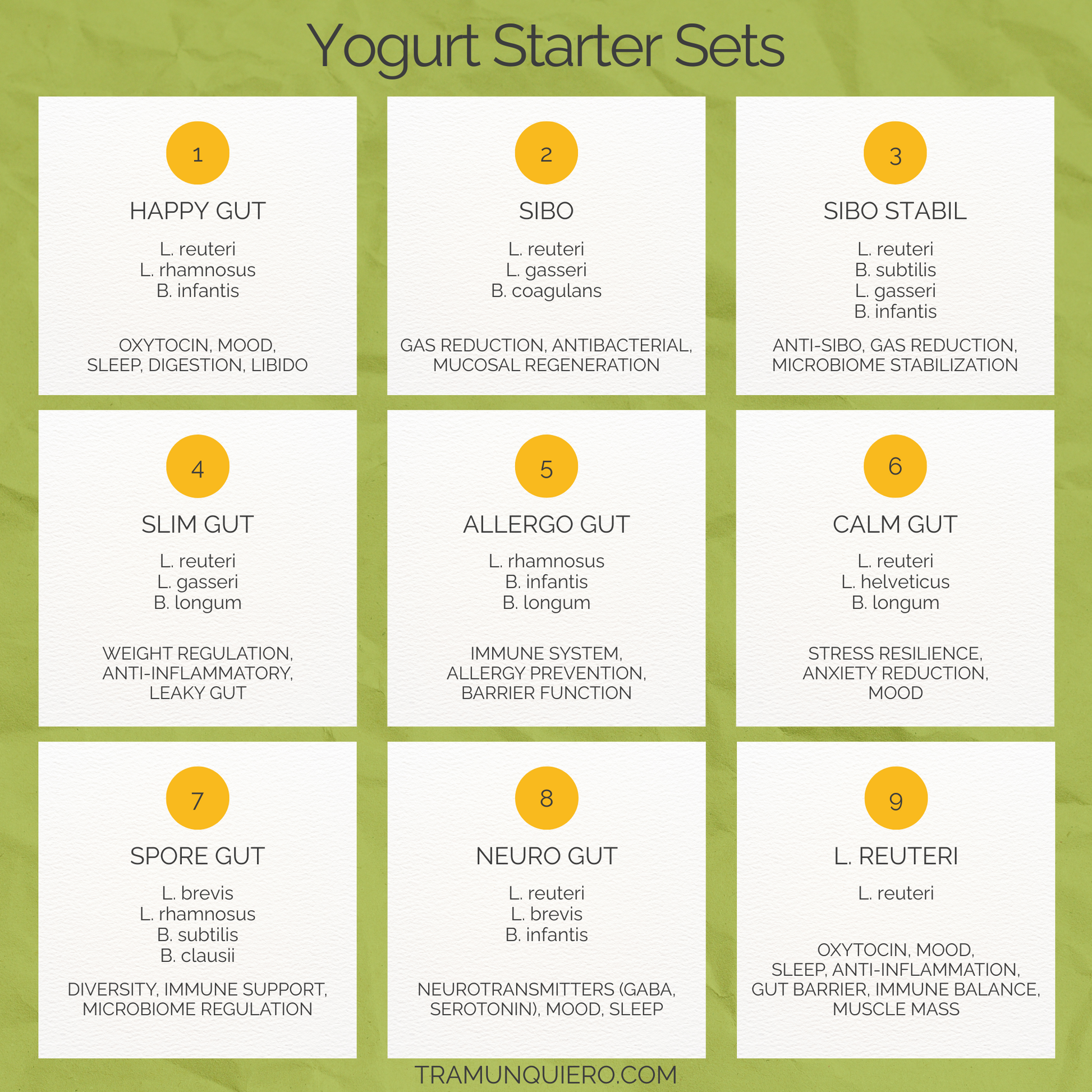 Starter Set "Slim Gut" | L. reuteri, L. gasseri, B. longum Yogurt