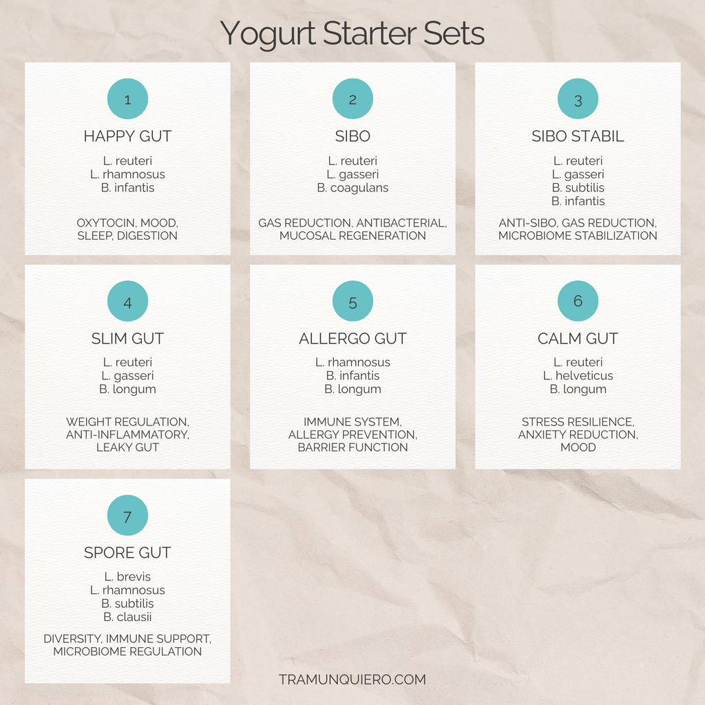 Starterset voor yoghurt L. reuteri, L. rhamnosus en B. infantis